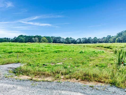 LOT 4 ORCHARD DR, CULLMAN, AL 35055 - Image 1