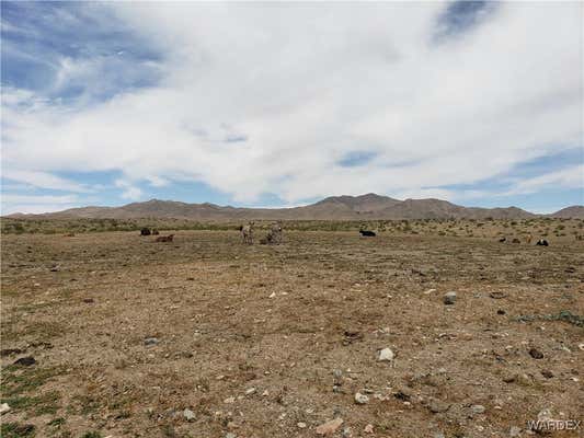 10 ACRES N JOSEPH ROAD, DOLAN SPRINGS, AZ 86441 - Image 1