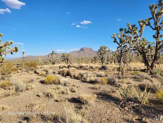 000 N MERRY DRIVE, DOLAN SPRINGS, AZ 86441 - Image 1