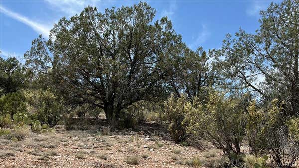 LOT 1 UNKNOWN, PEACH SPRINGS, AZ 86434, photo 3 of 12