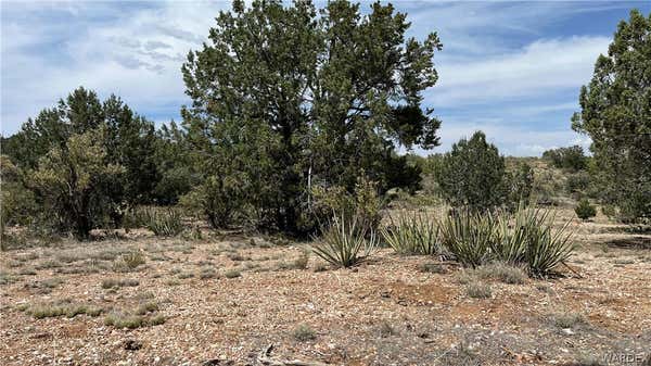 LOT 1 UNKNOWN, PEACH SPRINGS, AZ 86434, photo 4 of 12