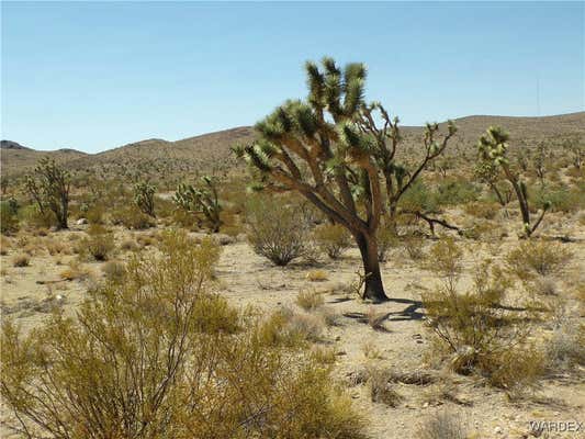 000 15TH, DOLAN SPRINGS, AZ 86441 - Image 1