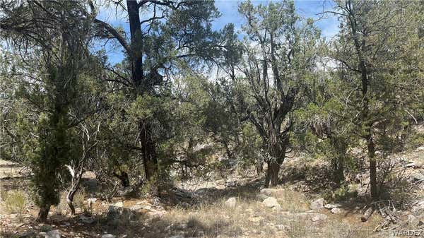 LOT 1 UNKNOWN, PEACH SPRINGS, AZ 86434, photo 2 of 12