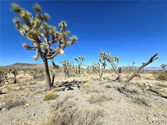 00 MERRY DRIVE, DOLAN SPRINGS, AZ 86441 - Image 1