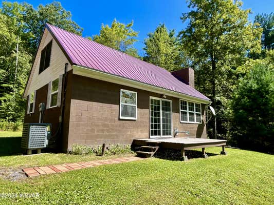 455 BATYS MOUNTAIN LN, TROUT RUN, PA 17771 - Image 1