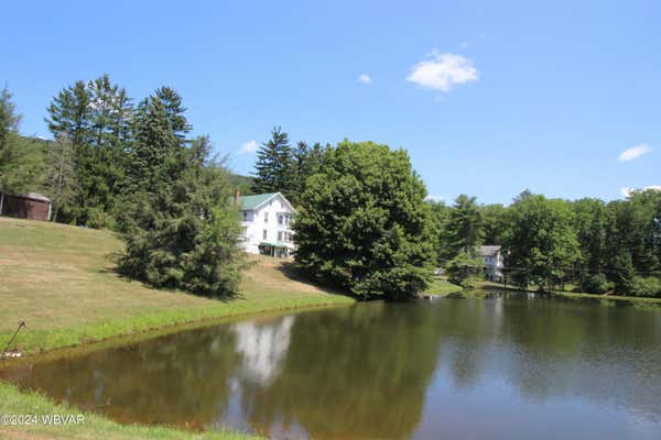 170 SCENIC VIEW RD, PINE GROVE, PA 17963 - Image 1