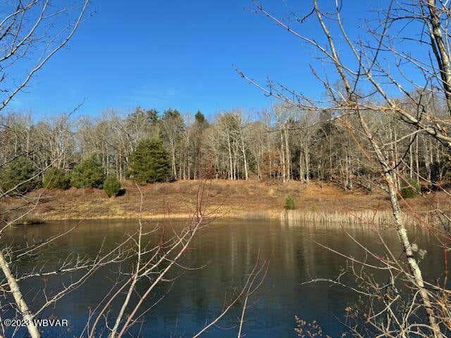 0 MOSS ROAD, BENTON, PA 17814, photo 1 of 11