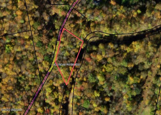 YOUNG WOMANS CREEK ROAD, RENOVO, PA 17764 - Image 1