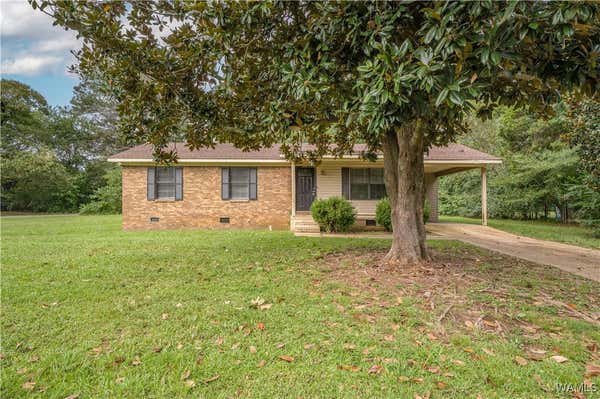 3820 64TH AVE, TUSCALOOSA, AL 35401 - Image 1