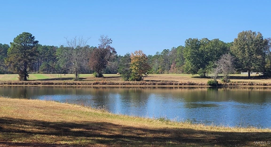 Eutaw, Alabama, 35462, United States, 5 Bedrooms Bedrooms, ,6 BathroomsBathrooms,Residential,Active,1994955