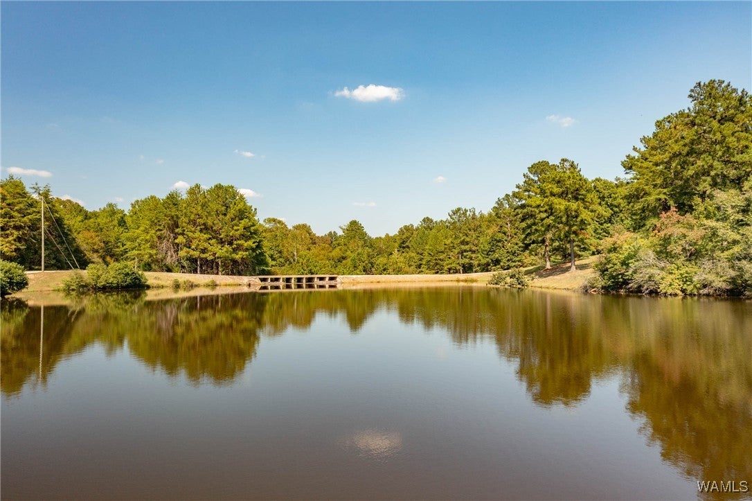 Mccalla, Alabama, 35111, United States, 4 Bedrooms Bedrooms, ,4 BathroomsBathrooms,Residential,Active,1904738