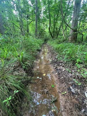 0 COUNTY ROAD 183 # 001, MARION, AL 36756 - Image 1