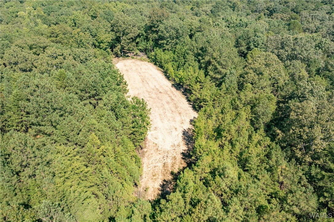 Mccalla, Alabama, 35111, United States, 4 Bedrooms Bedrooms, ,4 BathroomsBathrooms,Residential,Active,1904738