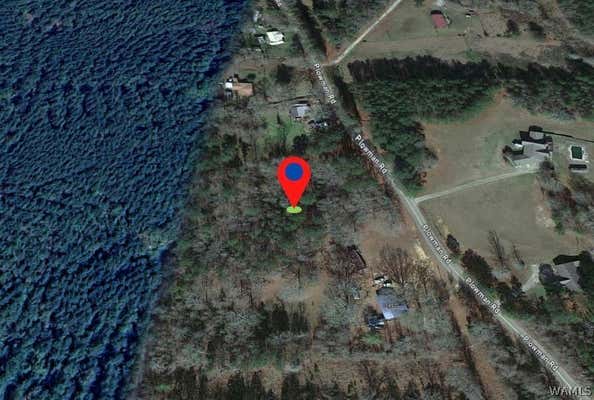 0 PLOWMAN ROAD, GORDO, AL 35466 - Image 1