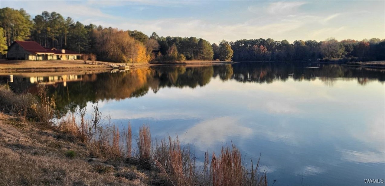 Eutaw, Alabama, 35462, United States, 5 Bedrooms Bedrooms, ,6 BathroomsBathrooms,Residential,Active,1994955