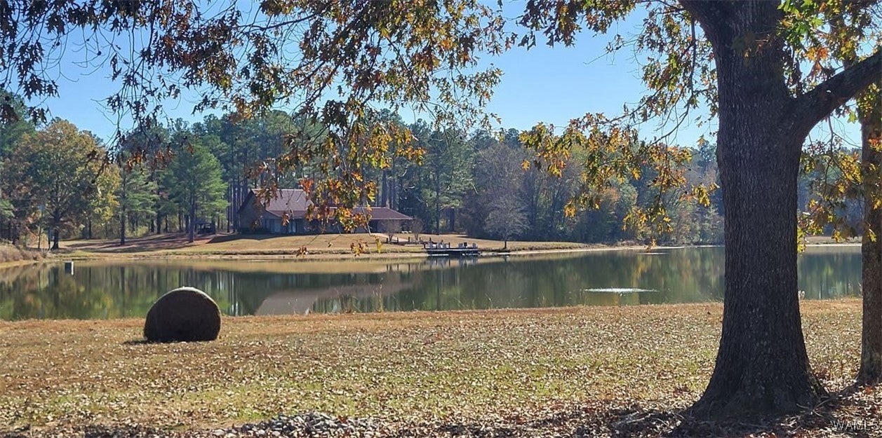 Eutaw, Alabama, 35462, United States, 5 Bedrooms Bedrooms, ,6 BathroomsBathrooms,Residential,Active,1994955