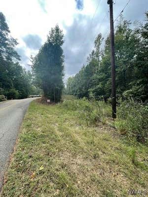 0 LAKE JUDSON ROAD, COTTONDALE, AL 35453 - Image 1