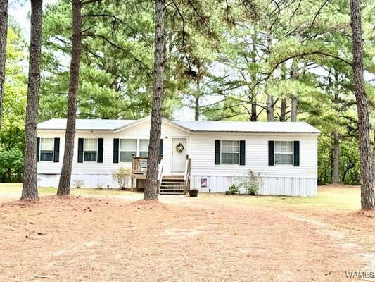 7656 COUNTY ROAD 19, DEMOPOLIS, AL 36732 - Image 1