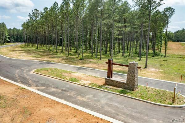 LOT 8 STORMI WAY, BERRY, AL 35546 - Image 1