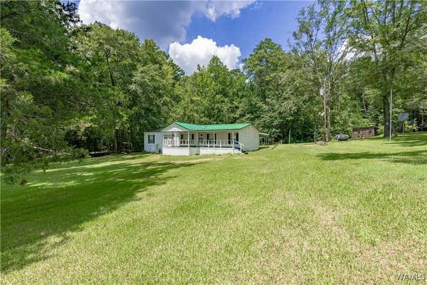 15067 GAINSVILLE RD, FOSTER, AL 35463, photo 2 of 36