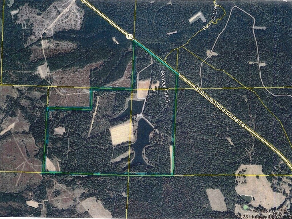 Eutaw, Alabama, 35462, United States, 5 Bedrooms Bedrooms, ,6 BathroomsBathrooms,Residential,Active,1994955