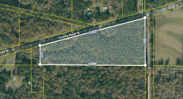 0 CO RD 16, GREENSBORO, AL 36744 - Image 1