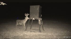 Eutaw, Alabama, 35462, United States, 5 Bedrooms Bedrooms, ,6 BathroomsBathrooms,Residential,Active,1994955