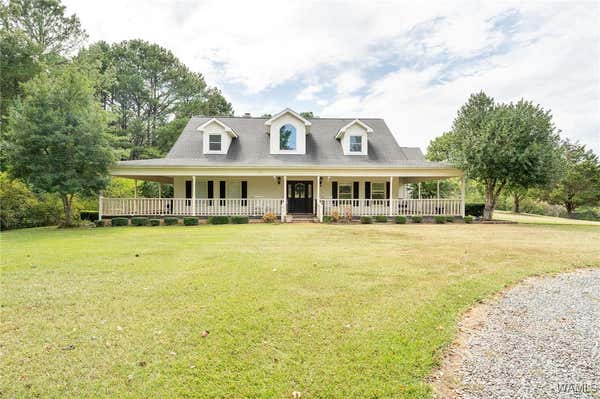 11125 BIG HURRICANE SPUR RD, BROOKWOOD, AL 35444 - Image 1