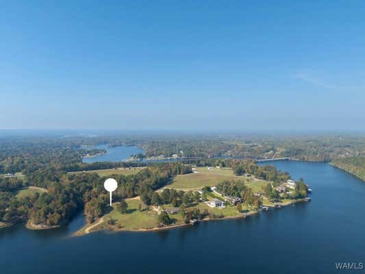 0 HERMAN BOYD ROAD, NORTHPORT, AL 35475 - Image 1