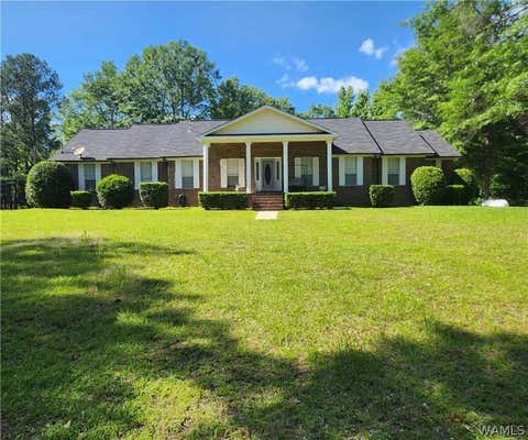 13460 SIPSEY VALLEY RD S, RALPH, AL 35480 - Image 1