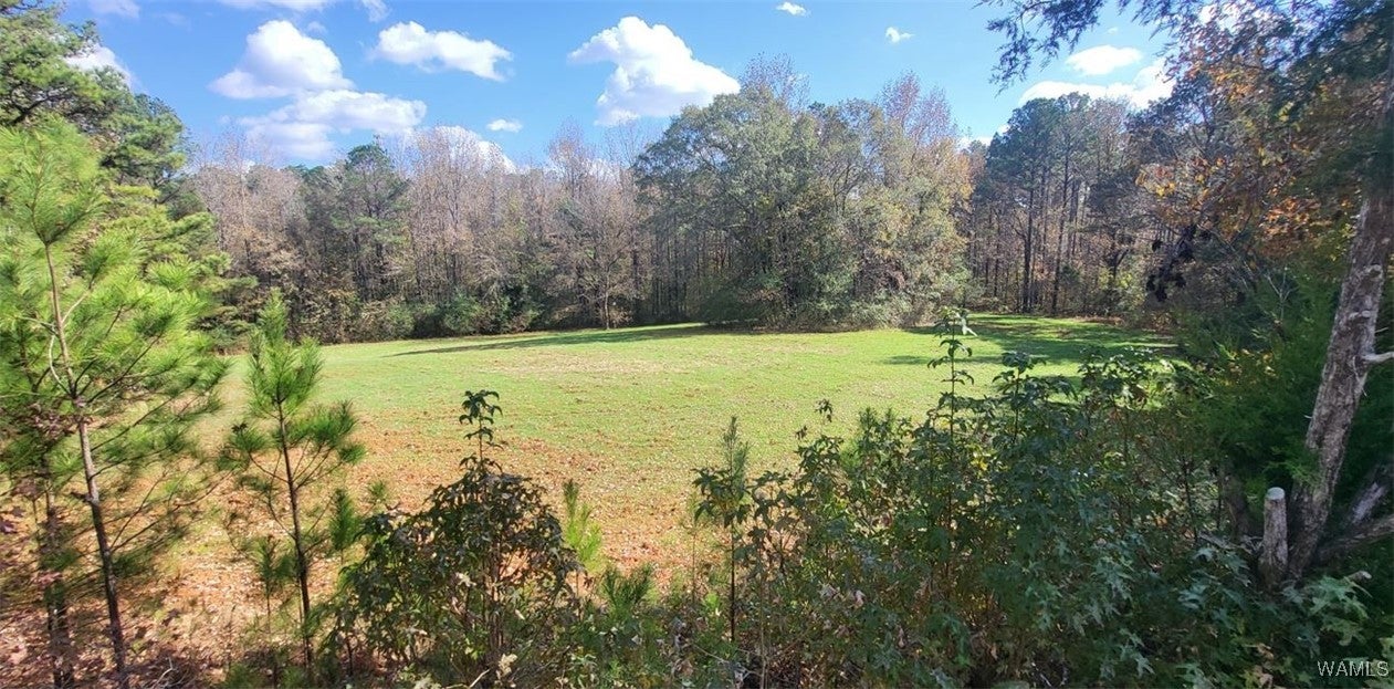 Eutaw, Alabama, 35462, United States, 5 Bedrooms Bedrooms, ,6 BathroomsBathrooms,Residential,Active,1994955