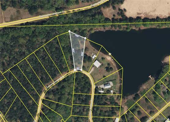 0 TURNERS ESTATE ROAD, ALICEVILLE, AL 35442 - Image 1