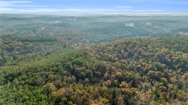 661 CEDAR TREE RD, VERNON, AL 35592, photo 1 of 14