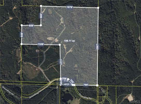 12680 GROUNDHOG RD, ADGER, AL 35006 - Image 1