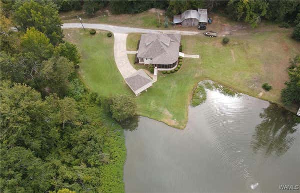 11934 LOWER HULL RD, MOUNDVILLE, AL 35474 - Image 1