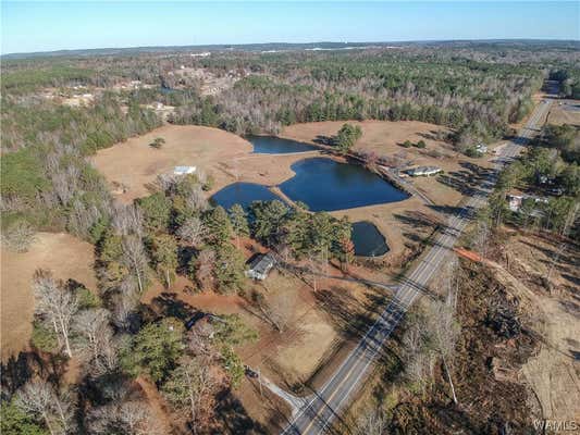 16414 HIGHWAY 11 N, VANCE, AL 35490, photo 3 of 16