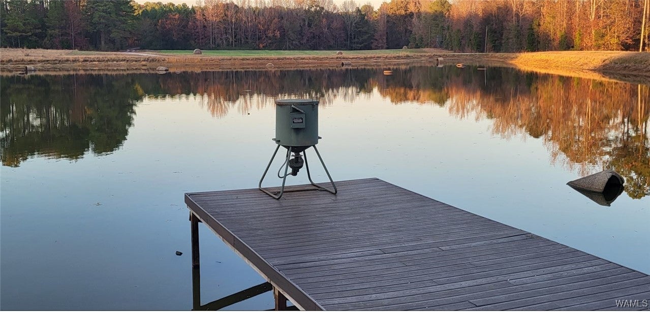 Eutaw, Alabama, 35462, United States, 5 Bedrooms Bedrooms, ,6 BathroomsBathrooms,Residential,Active,1994955