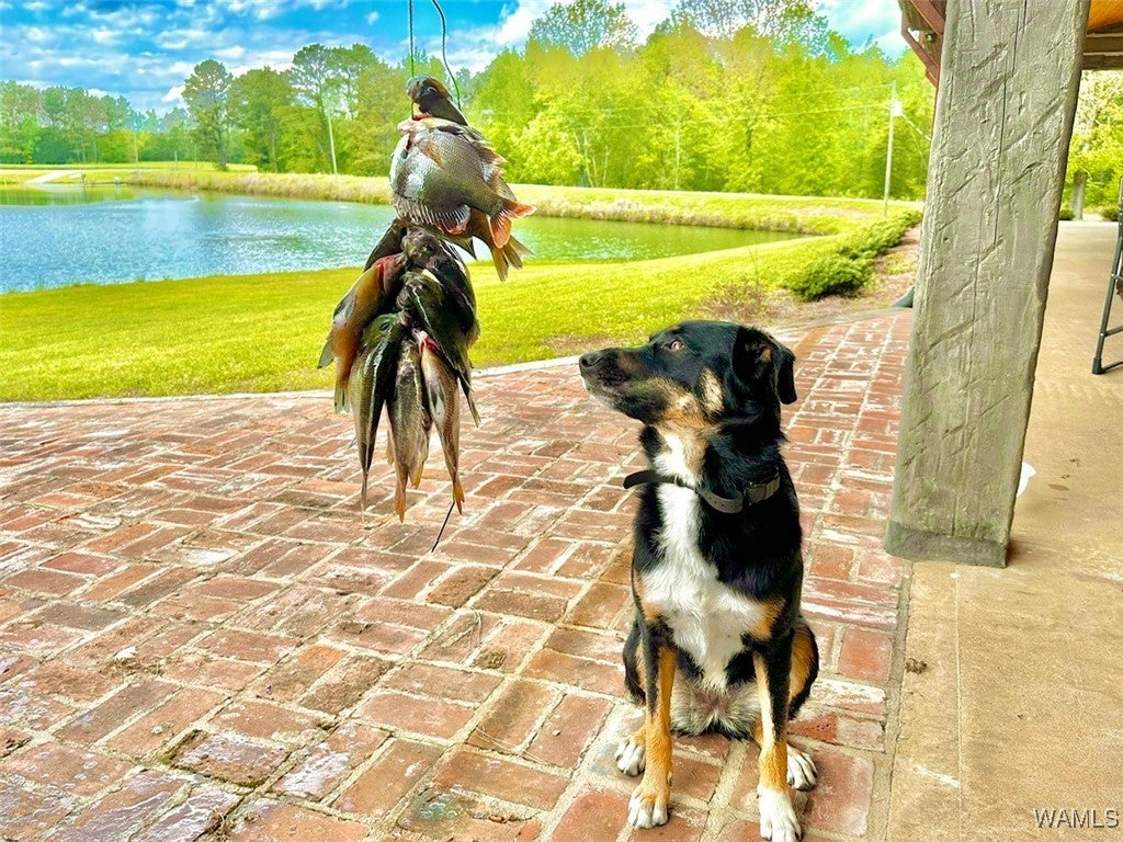 Eutaw, Alabama, 35462, United States, 5 Bedrooms Bedrooms, ,6 BathroomsBathrooms,Residential,Active,1994955