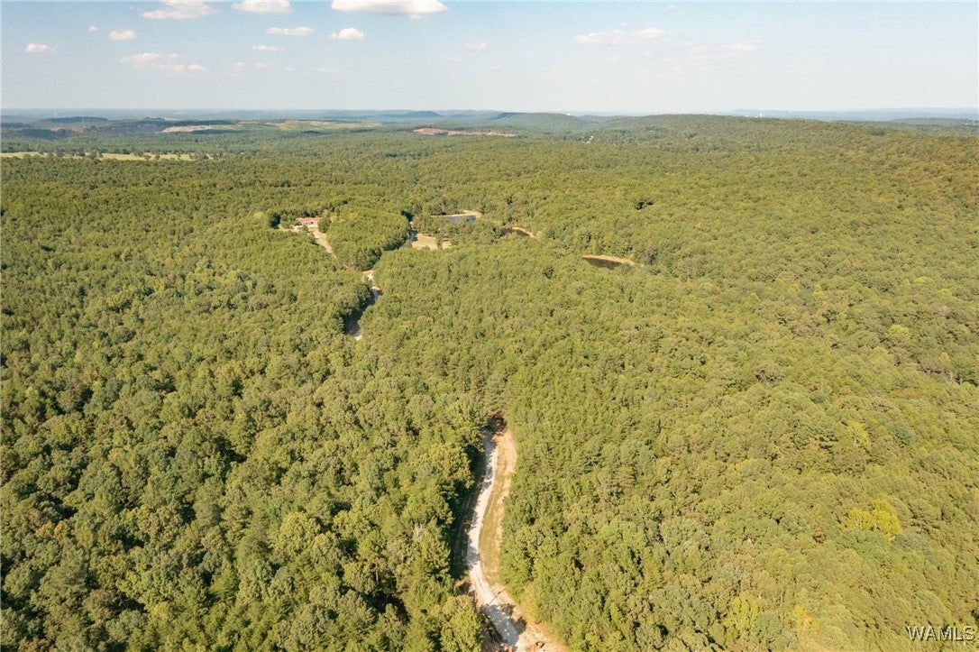 Mccalla, Alabama, 35111, United States, 4 Bedrooms Bedrooms, ,4 BathroomsBathrooms,Residential,Active,1904738