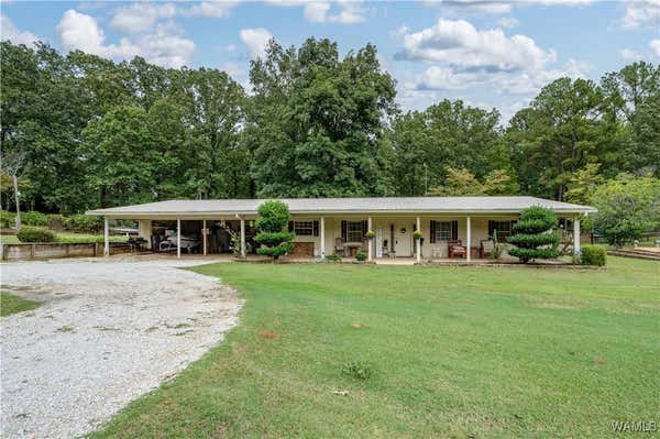 11150 KIZZIAH CUTOFF, TUSCALOOSA, AL 35406 - Image 1