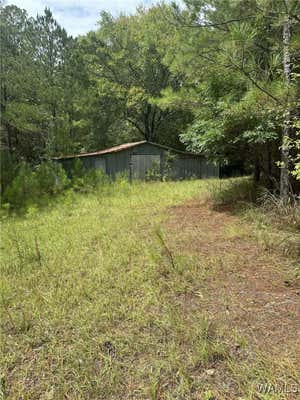 2644 COUNTY ROAD 81, FAYETTE, AL 35555 - Image 1