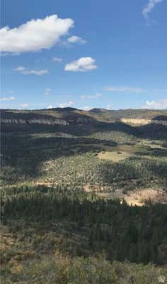 22 ACRES MILLET CYN, DUCK CREEK VILLAGE, UT 84762 - Image 1