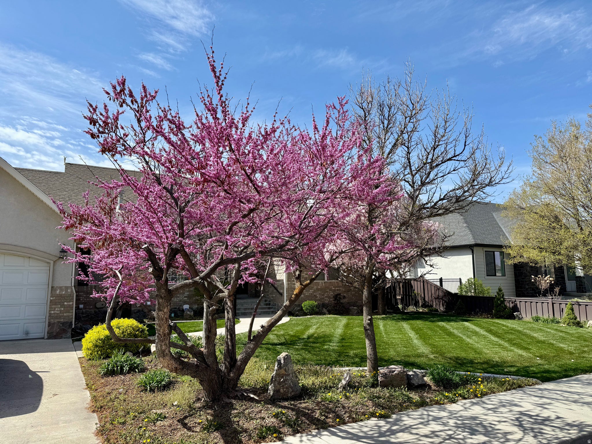 Springville, Utah, 84663, United States, 7 Bedrooms Bedrooms, ,5 BathroomsBathrooms,Residential,Active,2006980