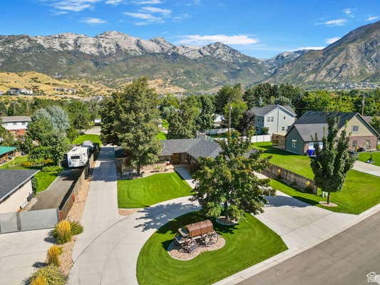 239 PIONEER DR, ALPINE, UT 84004 - Image 1