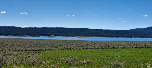 3996 EAGLES RD, ISLAND PARK, ID 83429 - Image 1