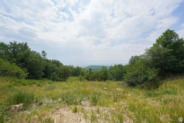 923 LOT 923 ASPEN HILLS PLAT F # 923, FAIRVIEW, UT 84629, photo 5 of 28