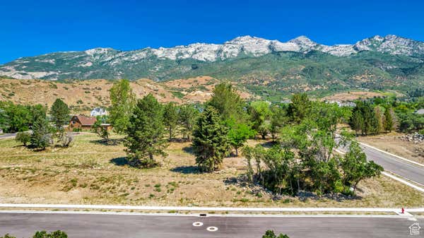 863 E CHERRYPOINT LN # 4, ALPINE, UT 84004 - Image 1