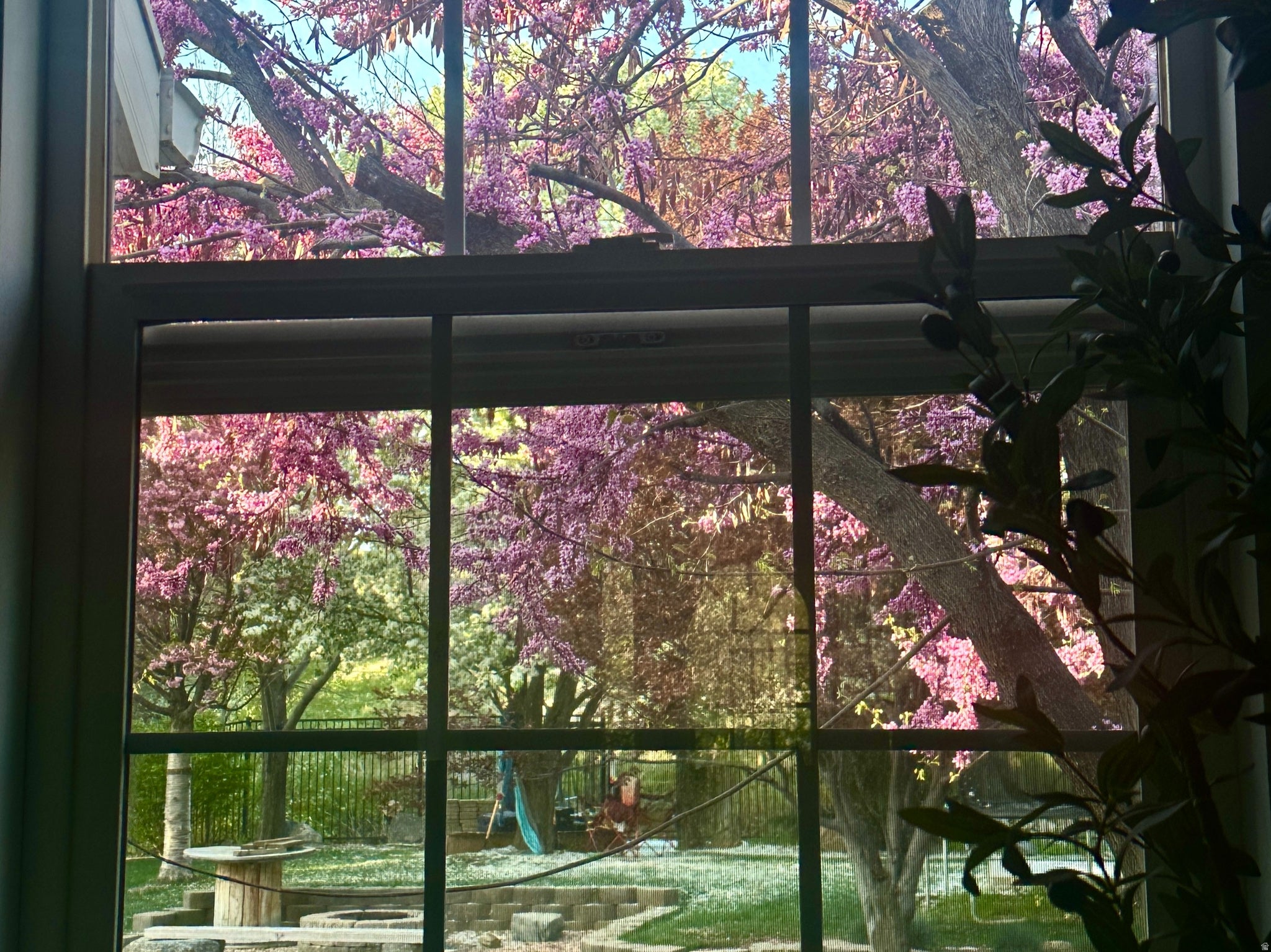 Springville, Utah, 84663, United States, 7 Bedrooms Bedrooms, ,5 BathroomsBathrooms,Residential,Active,2006980