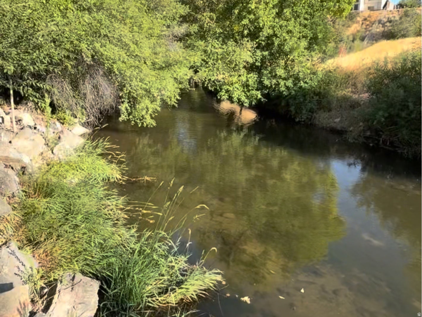 Springville, Utah, 84663, United States, 7 Bedrooms Bedrooms, ,5 BathroomsBathrooms,Residential,Active,2006980