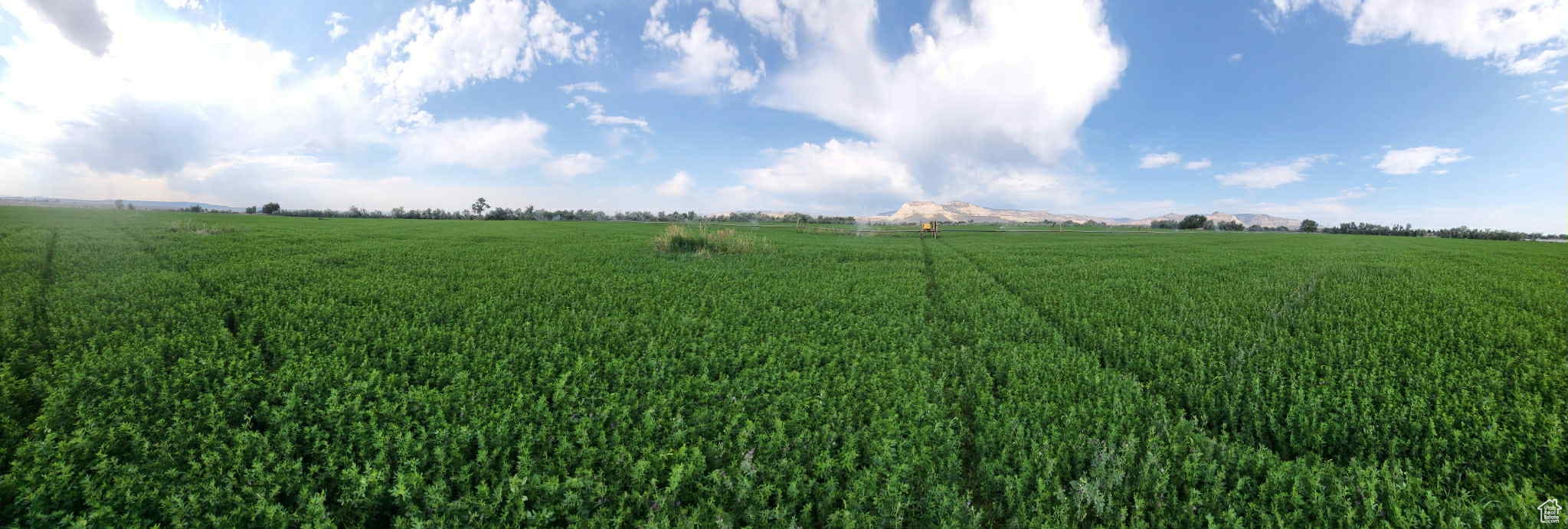 Huntington, Utah, 84528, United States, 4 Bedrooms Bedrooms, ,1 BathroomBathrooms,Residential,Active,1963255